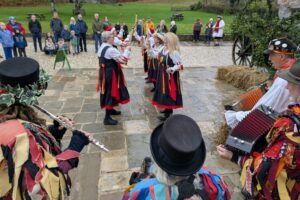 PXL_20251129_120808719.MP